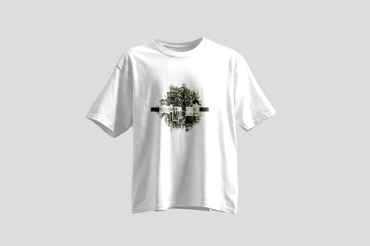 Tee — Yunnan Mao Feng Green Tea